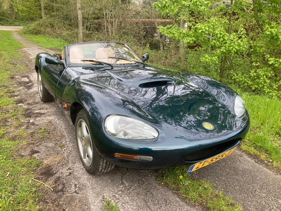 1993 Ginetta - Image 16 of 30