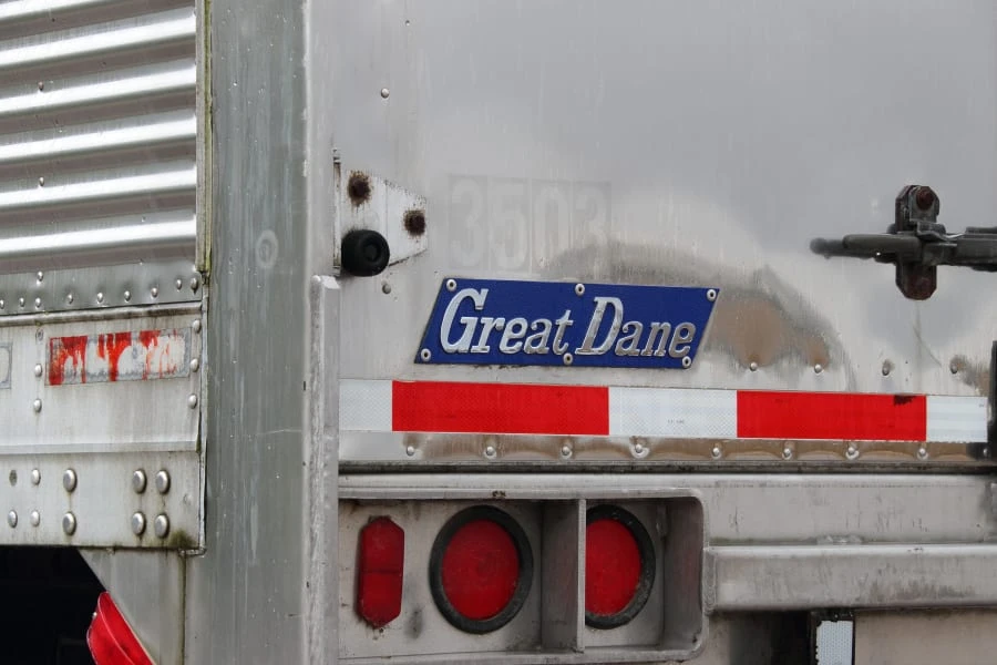 1993 Great Dane - Image 4 of 22