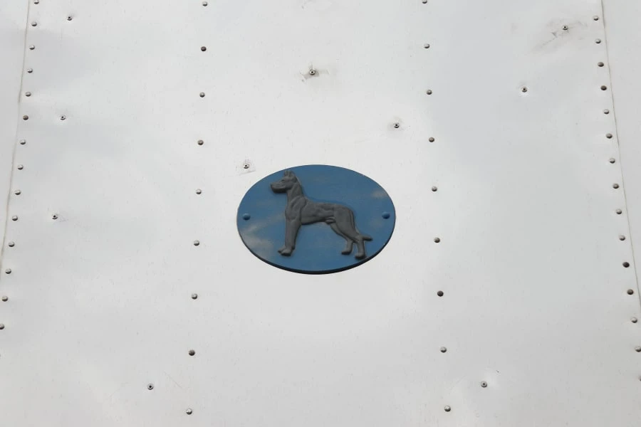 1993 Great Dane - Image 22 of 22