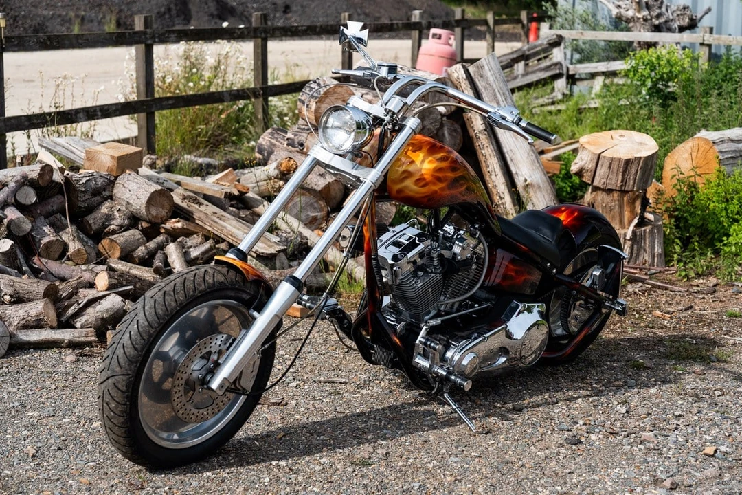 1993 Harley-Davidson Softail - Image 7 of 31