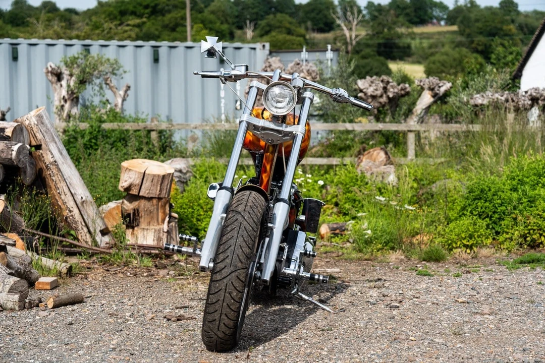 1993 Harley-Davidson Softail - Image 9 of 31