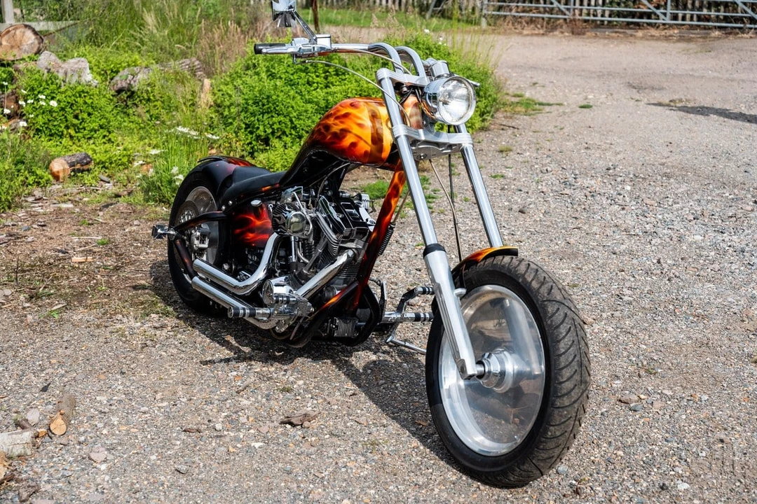 1993 Harley-Davidson Softail - Image 8 of 31
