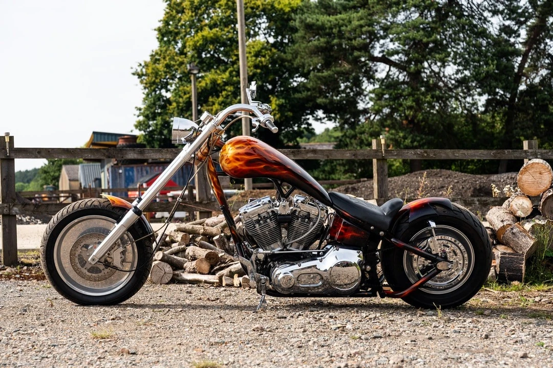 1993 Harley-Davidson Softail - Image 11 of 31