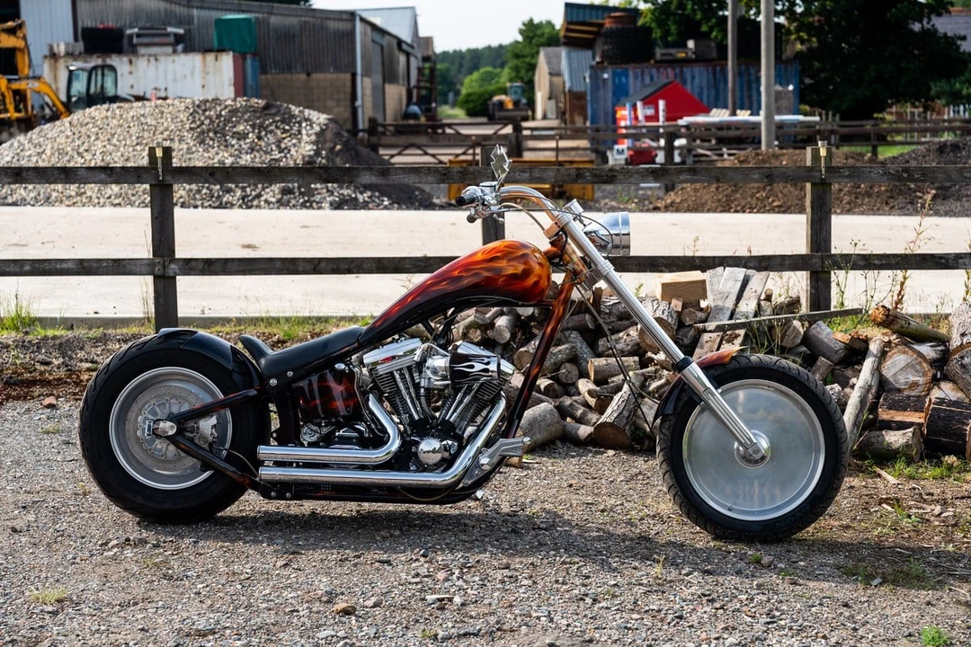1993 Harley-Davidson Softail - Image 12 of 31