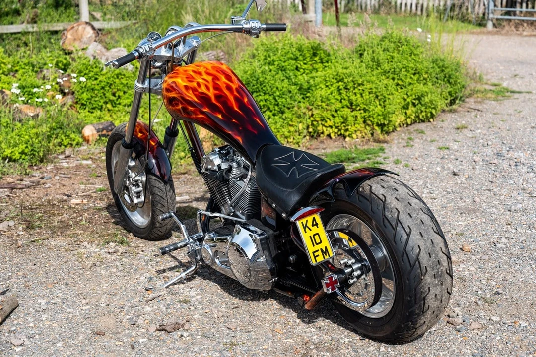 1993 Harley-Davidson Softail - Image 3 of 31