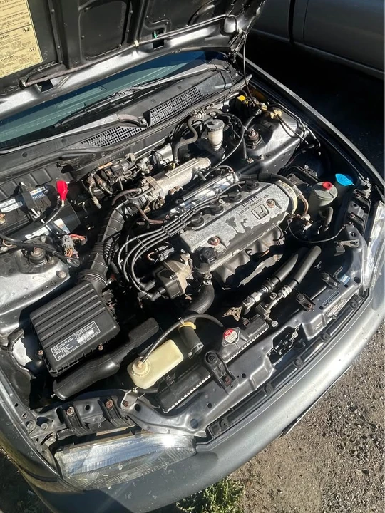 1993 Honda EG Civic - Image 6 of 6