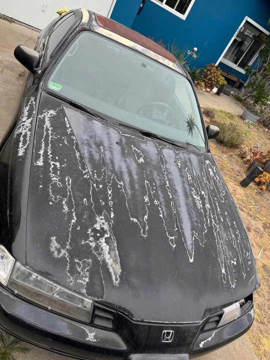 1993 Honda Prelude 4th Gen - Image 5 of 6