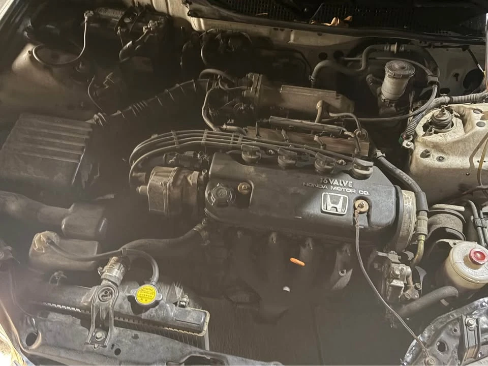 1993 Honda EG Civic - Image 6 of 6