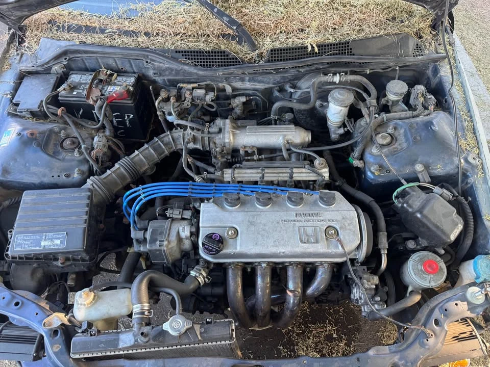 1993 Honda EG Civic - Image 4 of 4