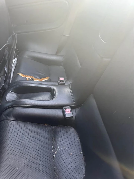 1993 Honda Prelude 4th Gen - Image 7 of 7
