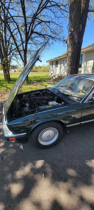1993 Jaguar XJ40 XJ - Image 5 of 13
