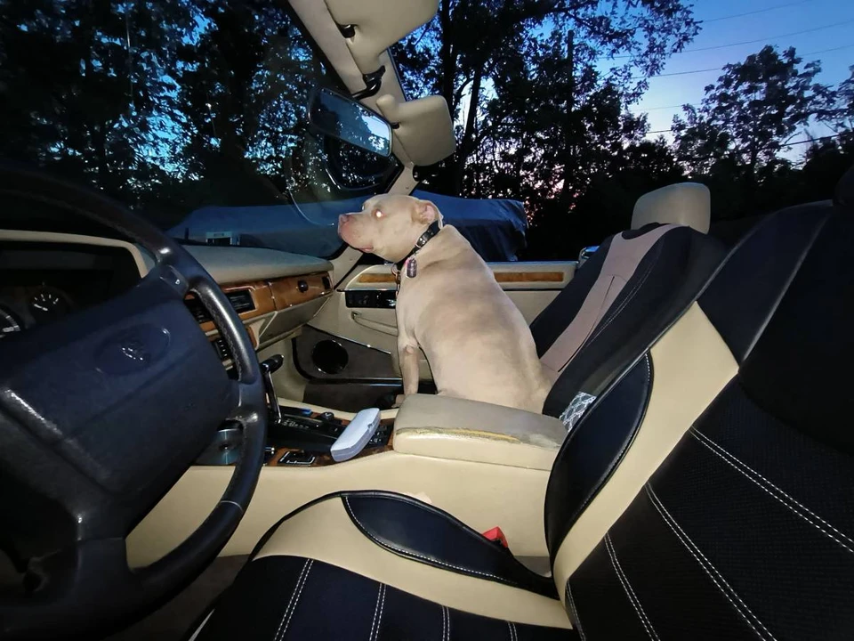 1993 Jaguar XJS Convertible - Image 9 of 12