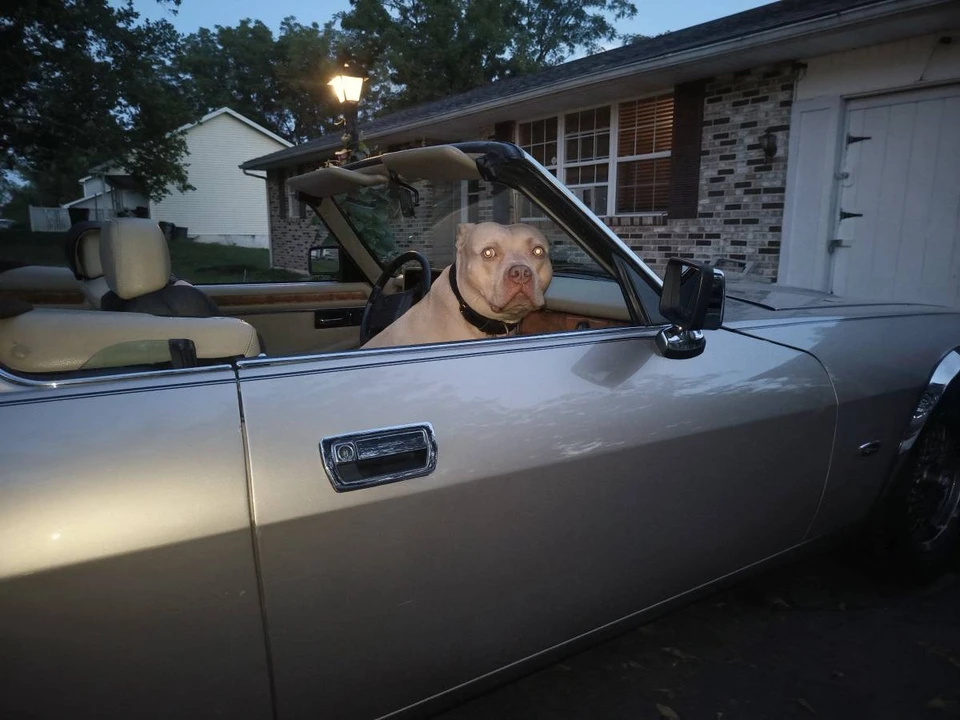 1993 Jaguar XJS Convertible - Image 7 of 12