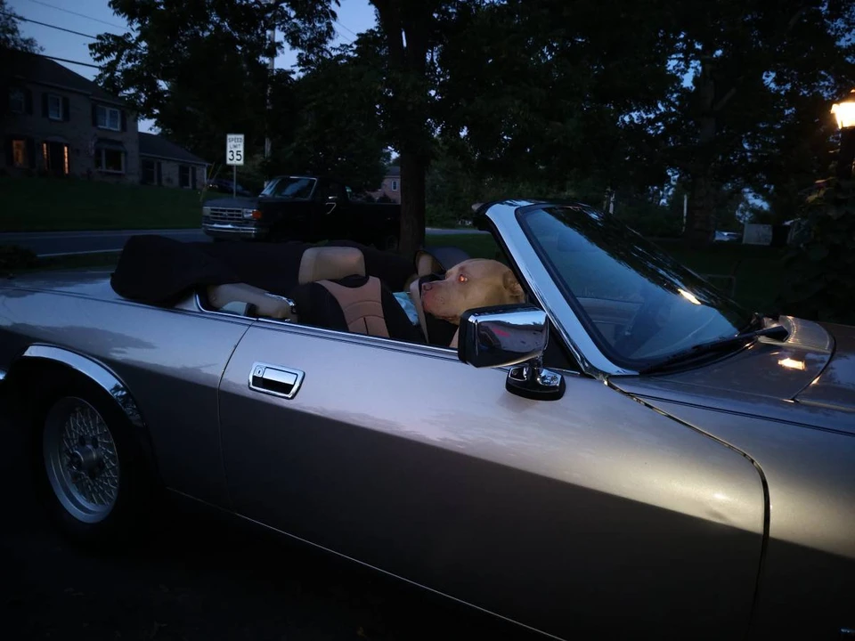 1993 Jaguar XJS Convertible - Image 8 of 12