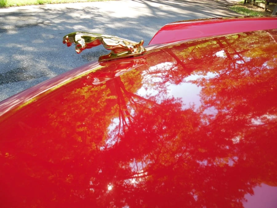 1993 Jaguar XJS Convertible - Image 8 of 18