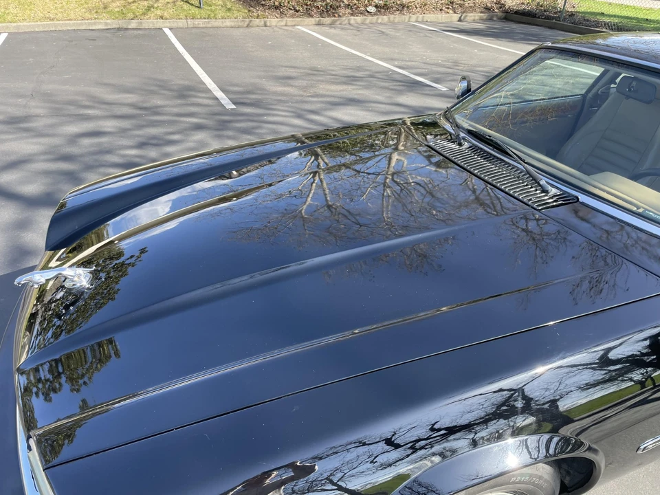 1993 Jaguar XJS - Image 27 of 31