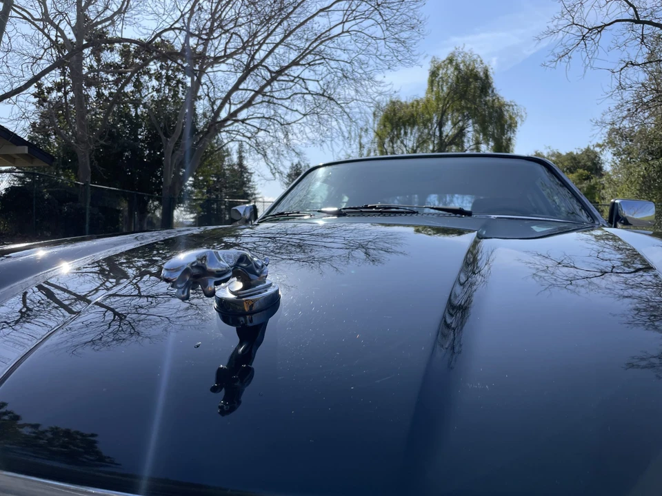1993 Jaguar XJS - Image 24 of 31