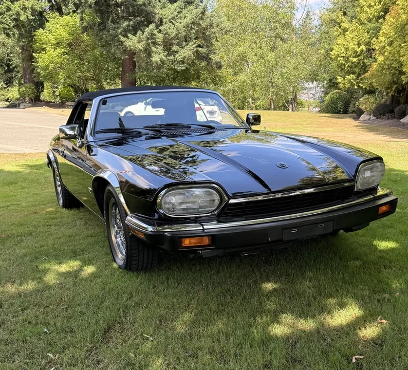 1993 Jaguar XJS - Image 14 of 16