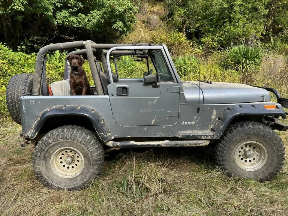1993 Jeep YJ Wrangler - Image 3 of 3