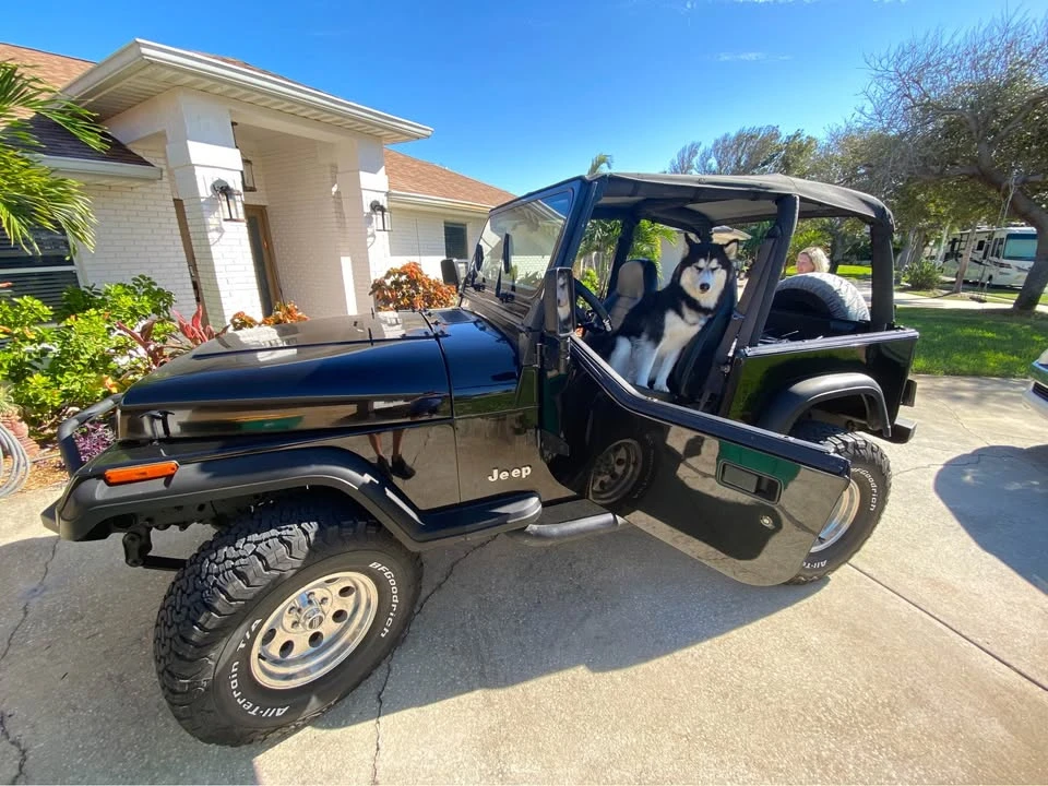 1993 Jeep YJ Wrangler - Image 3 of 7