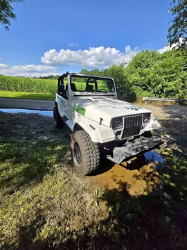 1993 Jeep Wrangler Sport SUV 2D