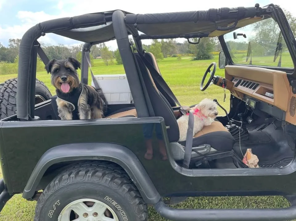 1993 Jeep YJ Wrangler - Image 4 of 12