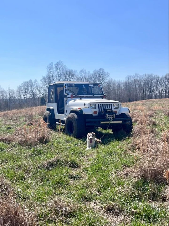 1993 Jeep YJ Wrangler - Image 8 of 19