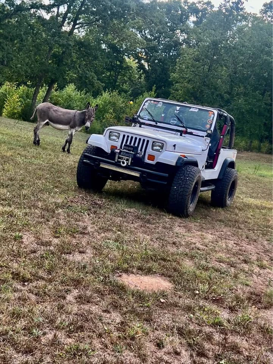 1993 Jeep YJ Wrangler - Image 10 of 19