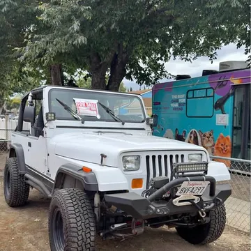 1993 Jeep Wrangler YJ