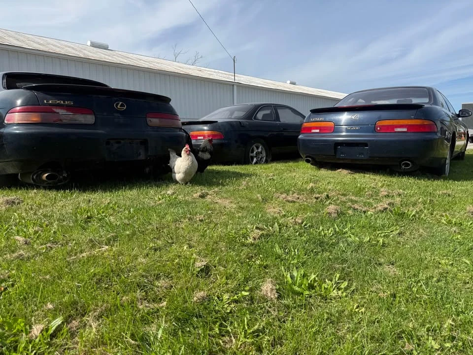 1993 Lexus SC400 - Image 11 of 11