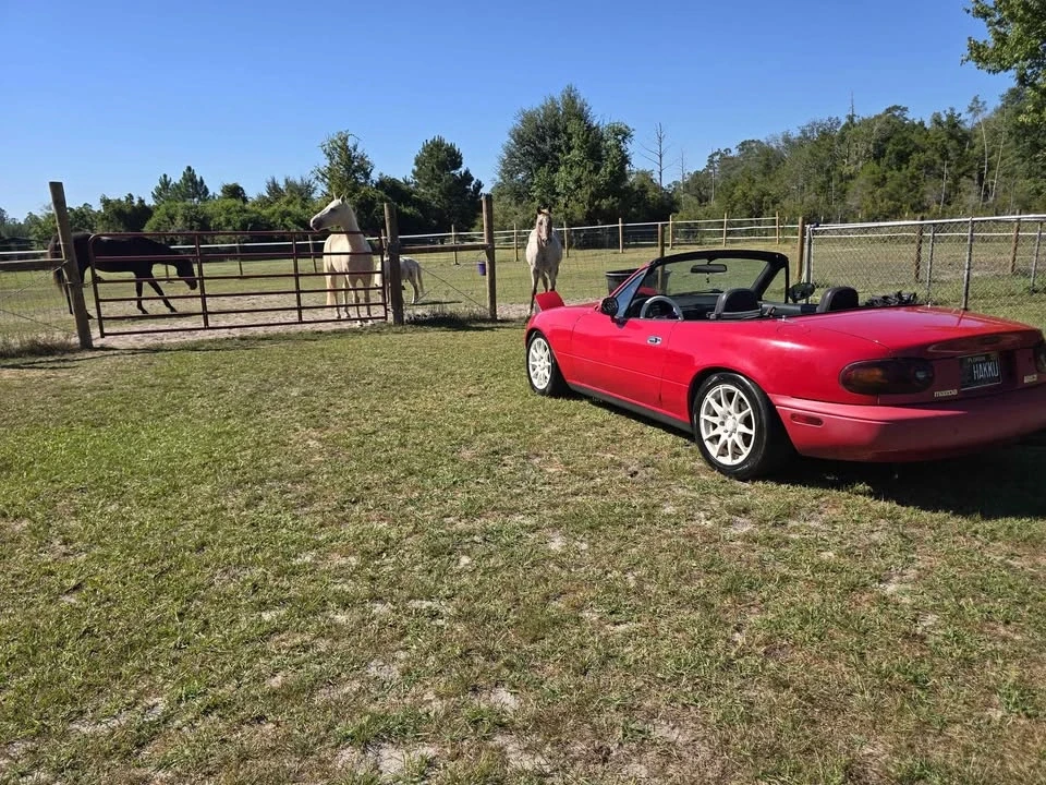 1993 Mazda NA MX-5 Miata - Image 4 of 17