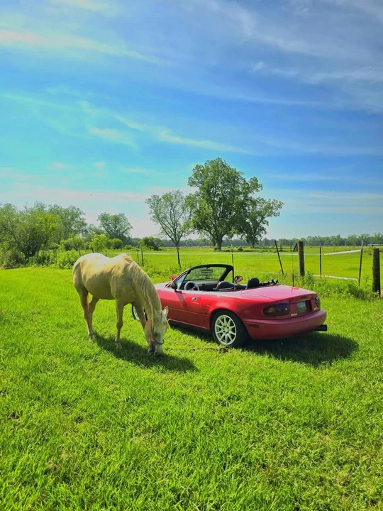 1993 Mazda NA MX-5 Miata - Image 7 of 17