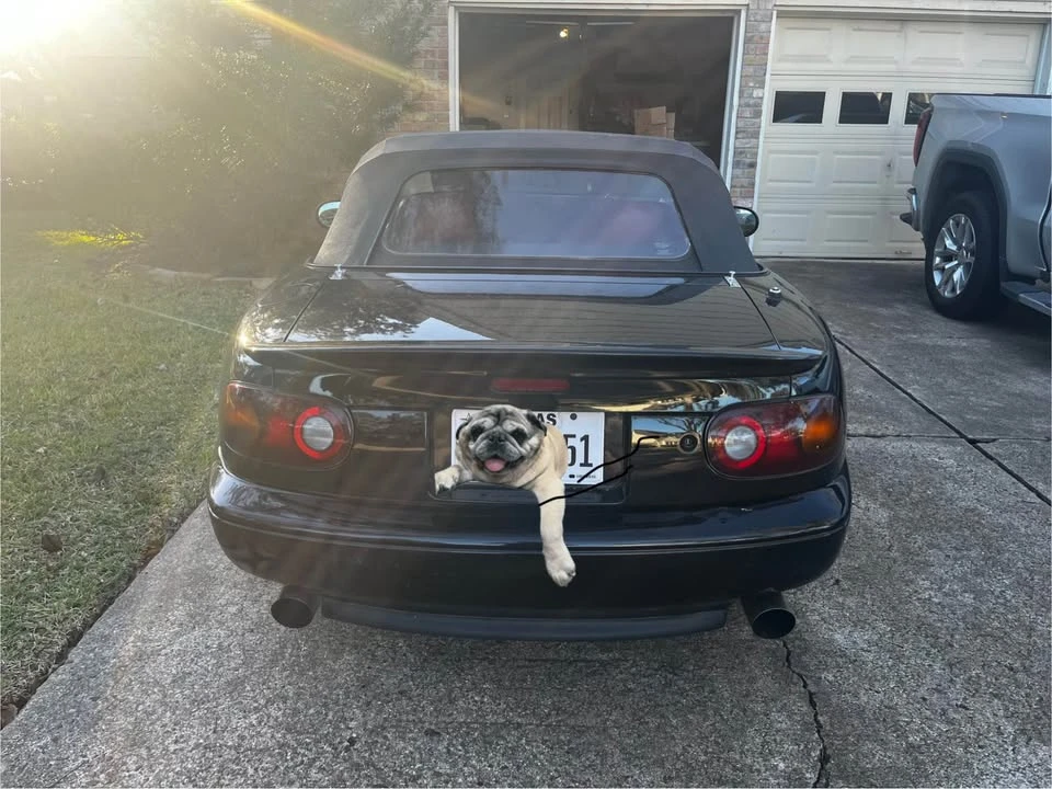 1993 Mazda NA MX-5 Miata - Image 7 of 7