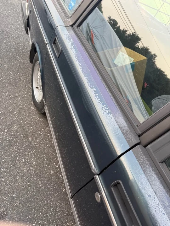 1993 Volvo 245 - Image 12 of 19