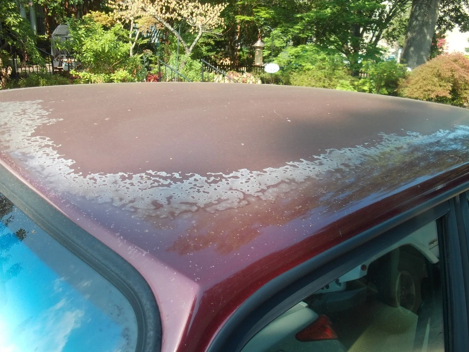 1993 Volvo 244 - Image 7 of 31