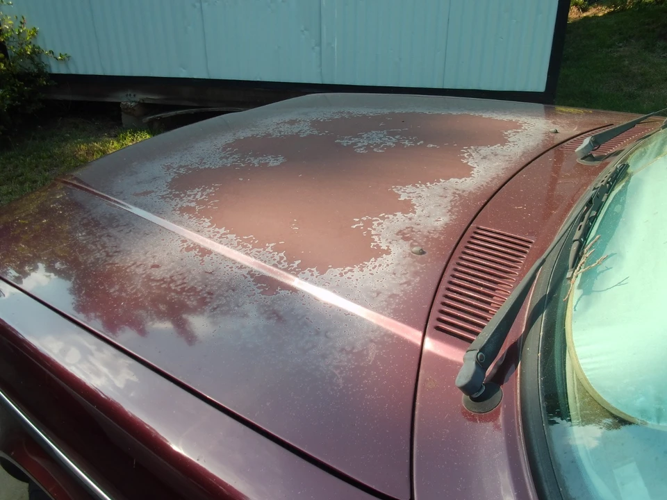 1993 Volvo 244 - Image 6 of 31
