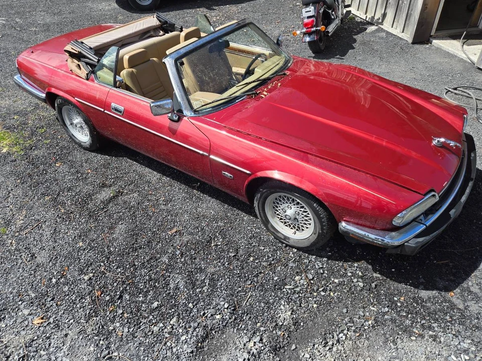 1993 Jaguar XJS Convertible - Image 2 of 24