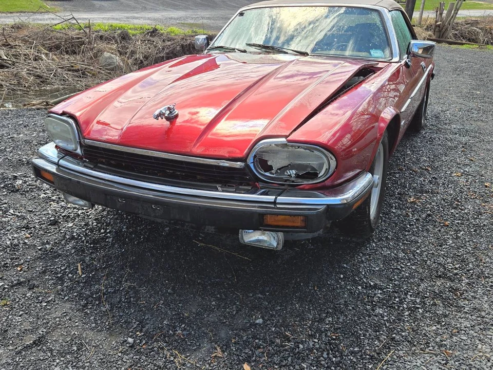1993 Jaguar XJS Convertible - Image 7 of 24