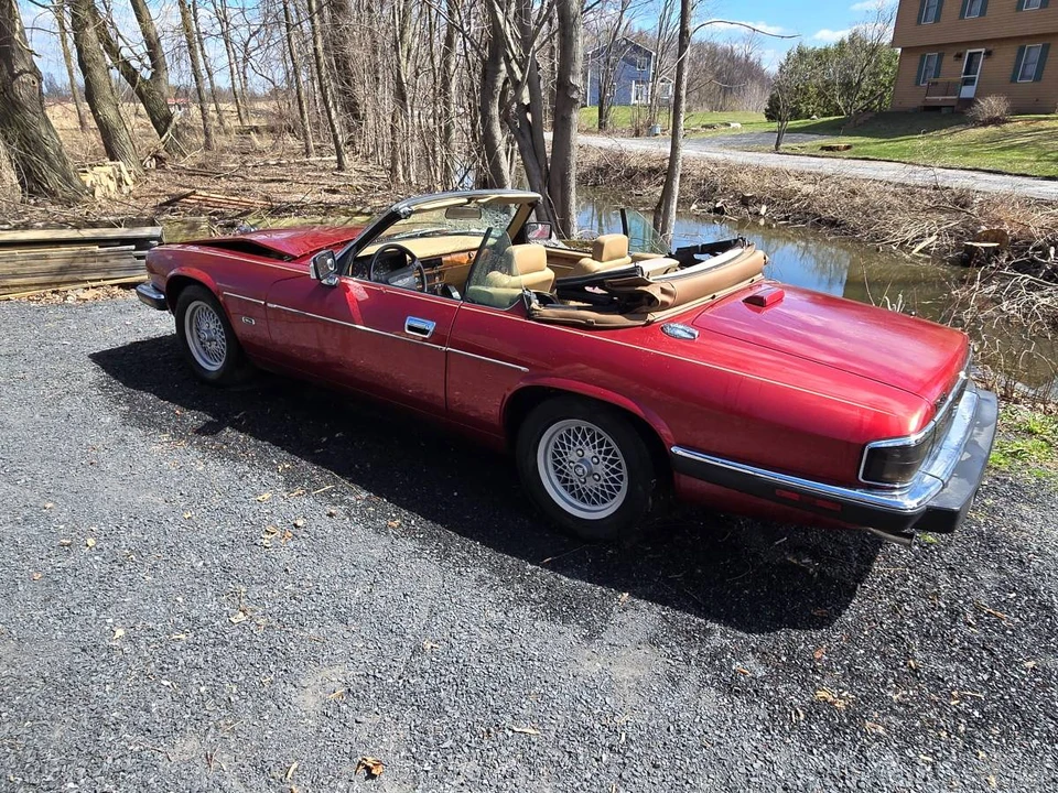 1993 Jaguar XJS Convertible - Image 5 of 24