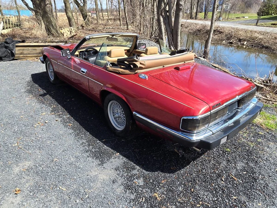 1993 Jaguar XJS Convertible - Image 4 of 24