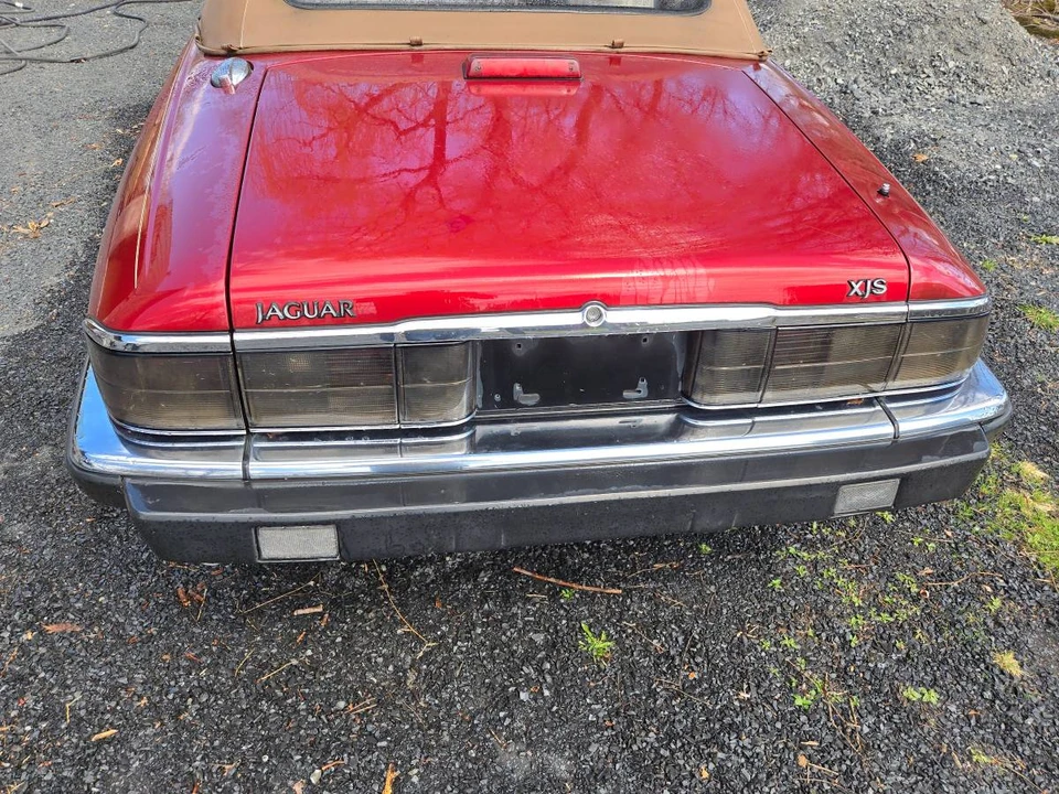 1993 Jaguar XJS Convertible - Image 20 of 24