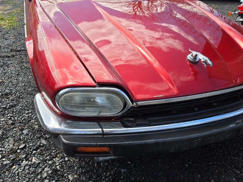1993 Jaguar XJS Convertible - Image 9 of 24