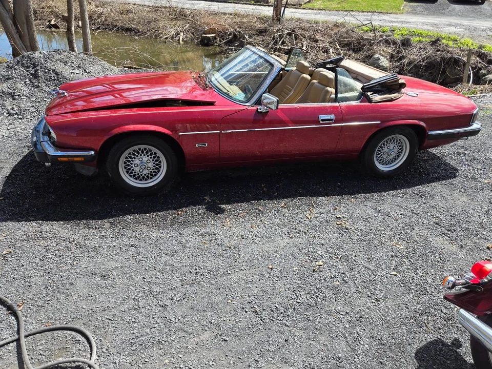 1993 Jaguar XJS Convertible - Image 3 of 24