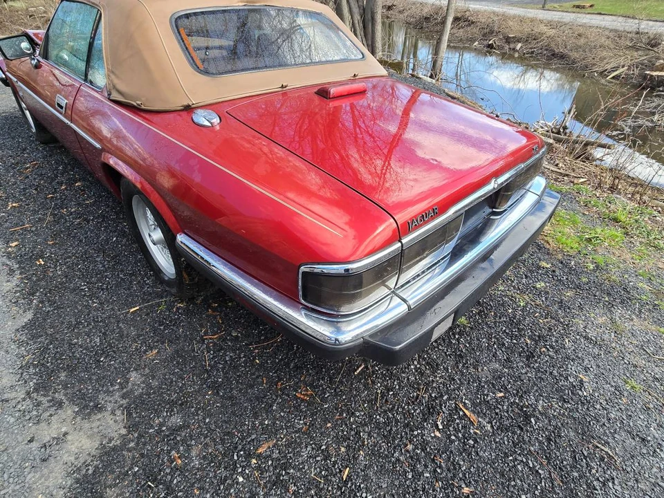 1993 Jaguar XJS Convertible - Image 21 of 24