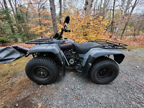 1993 Yamaha Kodiak 400FW