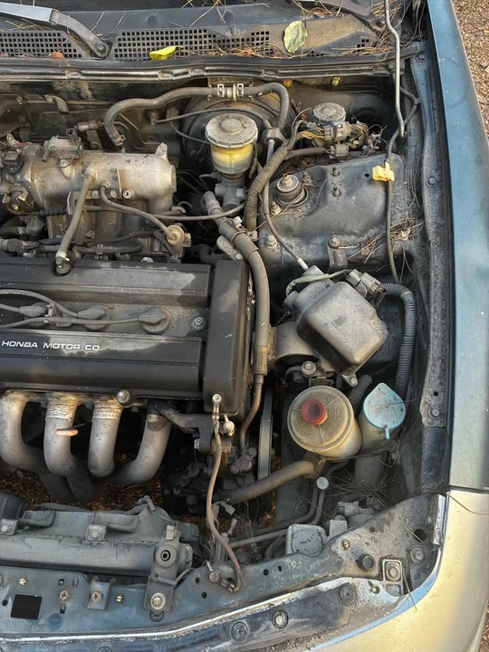 1994 Acura Integra 3rd Gen - Image 3 of 8