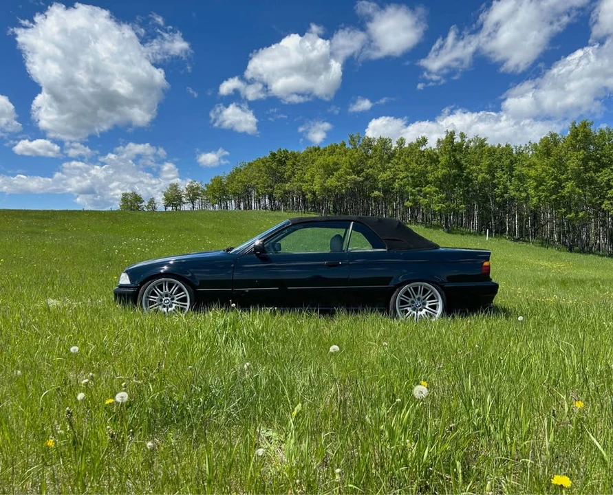 1994 BMW 3 Series - Image 5 of 7