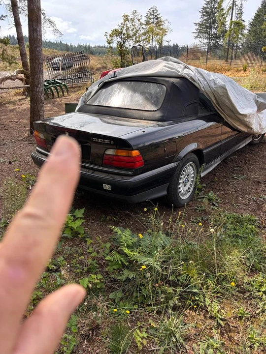 1994 BMW E36 3 Series - Image 9 of 15