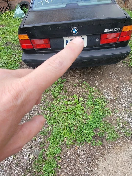 1994 BMW E34 5 Series - Image 2 of 4