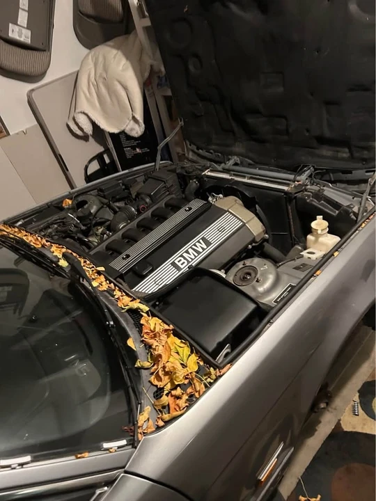 1994 BMW E34 5 Series - Image 2 of 4